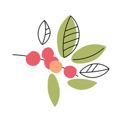 Branch with leaves and berries. Black line outline , with colored blots. Flat style and outline. Twig with coffee cherries and leaves. Vector illustration isolated on white background.