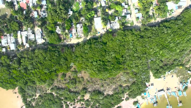 aerial aerial view of the community of Chelem in yucatan mexico and its invasion of the mangrove swamp