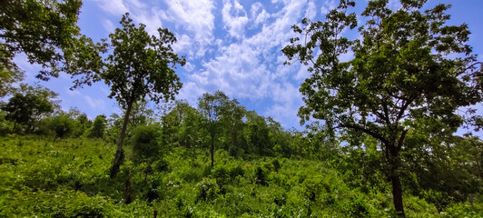 selective focus picture of mountains and clouds in the rainy season