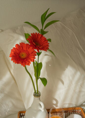 Beautiful rustic vase with gerbera flowers in a warm and romantic bed