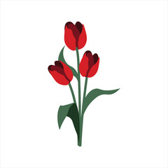 Fototapeta premium Hand Drawn Floral Decorative Elements