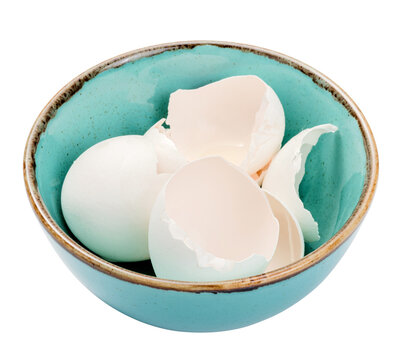 Blue bowl with eggshell isolated. Eggshell in bowl.