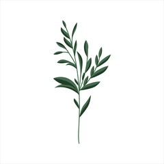Fototapeta premium Hand Drawn Floral Decorative Elements