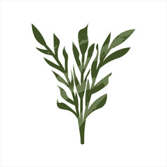 Hand Drawb Boho Elements