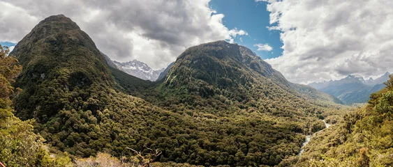 Foto op Canvas Panoramic view over the Hollyford river valley in the South Island of New Zealand surrounded by dense forest with snow capped mountains in the distance © Jon Ingall