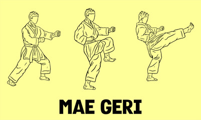 Fototapeta na wymiar illustration of karate fighter line art
