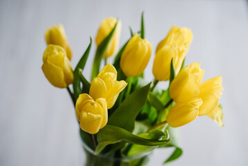 A bouquet of yellow tulip flowers in a vase on white background. Surprise. Space for text. Holiday greeting card for Valentine's, Women's, Mother's Day. Happy Birthday. Top view