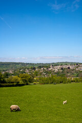 Fototapeta premium England, Gloucestershire, Painswick in the scenic Cotswold countryside in spring sunshine