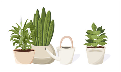 Home plants in the minimalistic pot with watering can. Home decor and gardening concept. Cute isolated vector illustration for product design and decoration. Sansevieria, Spathiphyllum, Philodendron