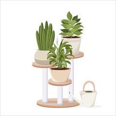 Home plants in the minimalistic pot on wooden shelves and watering can. Home decor and gardening concept. Cute isolated vector illustration. Sansevieria, Spathiphyllum, Philodendron