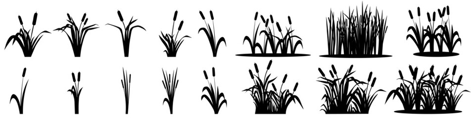 Cattail icon vector set. reeds illustration sign collection. swamp symbol. grass logo. - obrazy, fototapety, plakaty