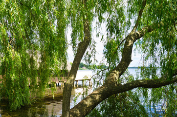 Fishing lodge on the lake near Krakow on the lake with a jetty. Inland fishing