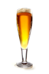 Beer glasse on white background