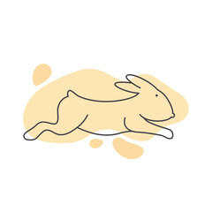 Rabbit illustration