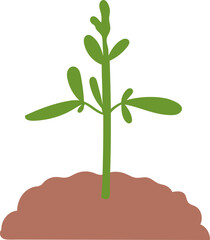 Plant in rich soil flat icon Plants planting