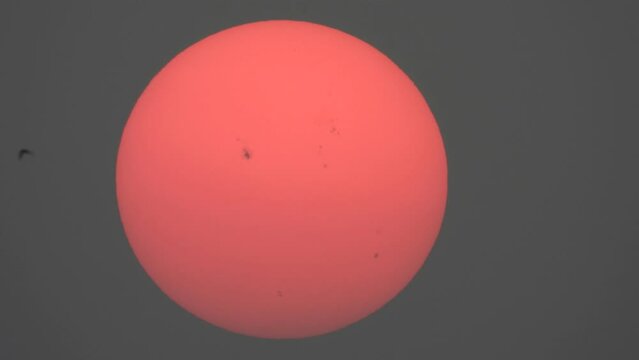Beautiful eveing sunset - black marks - pink .
