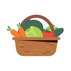 vegetable in basket. fresh carrot cabbage broccoli isolated flat vector illustration