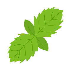 simple mint leaf illustration