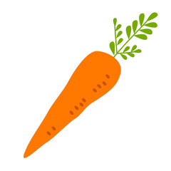 carrot illustration with leaf