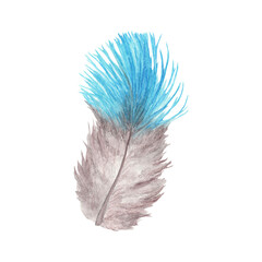 Vibrant feather. Bird feather. Boho style wings. Watercolor illustration. 