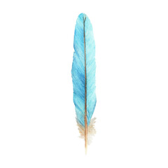 Vibrant feather. Bird feather. Boho style wings. Watercolor illustration. 