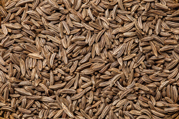 Cumin grains, background uniform texture, bunch in bulk close-up macro top view