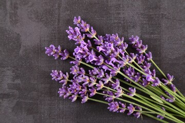 Lavender. - 564989558