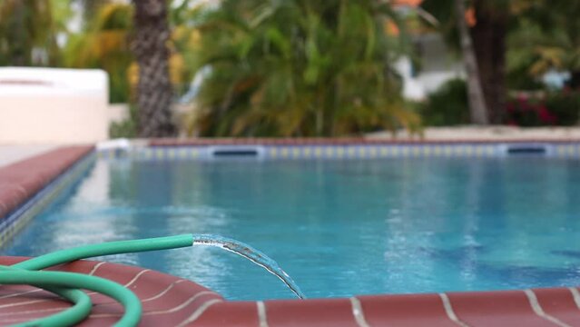 Water pipe filling up swimming pool surrounded with palm trees. Pool maintenance. 4K
