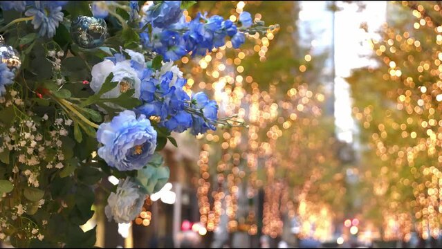 丸の内のイルミネーション（花）