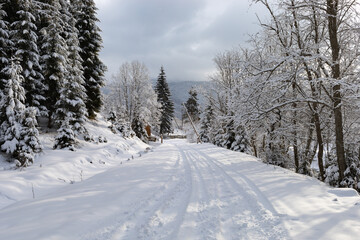 Winter landscape in the Ukrainian Carpathians