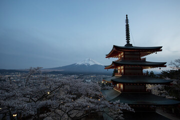 Obraz premium Cherry blossom festival in Japan, Mt.Fuji