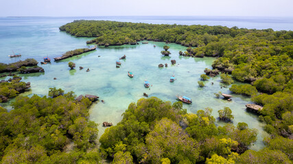 Tropical paradise island Zanzibar aerial view. Place the mangrove forest of Michamvi Safari Blue
