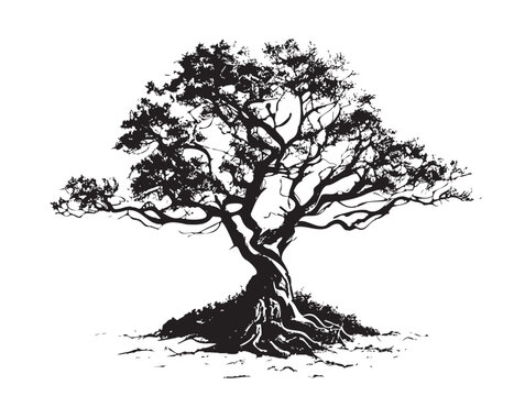 Oak tree silhouette sketch hand drawn in doodle style Vector illustration