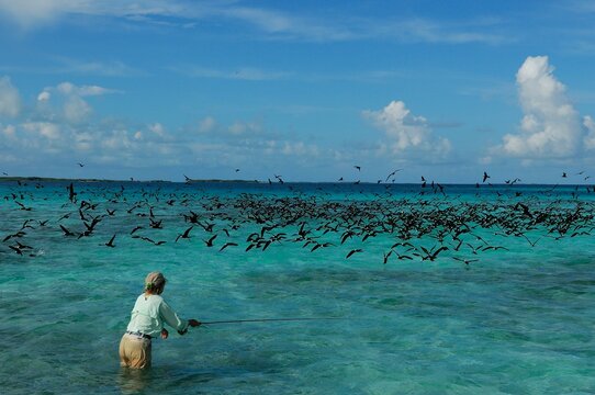 Woman fishing and flying birds, Los Roques, Venezuela