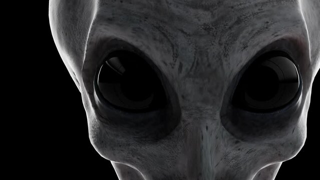 3D rendered animation of an alien's head