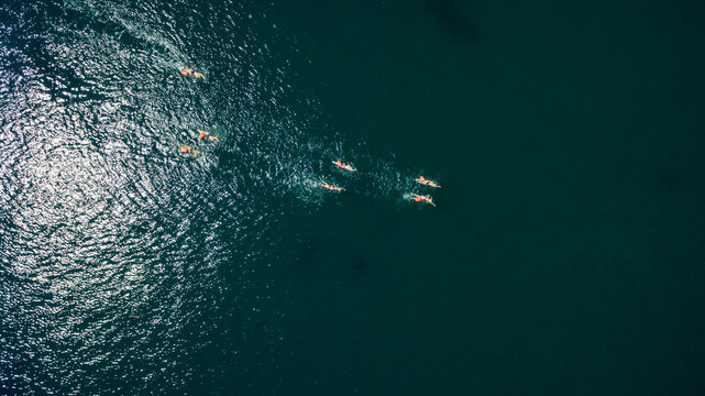 Aerial view of swimmers in Ligurian Sea