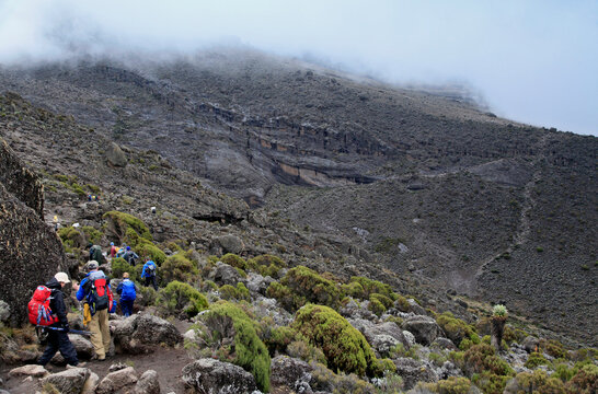 Hikers traversing over to Karanga Camp on Machame Route, Mt. Kilimanjaro.