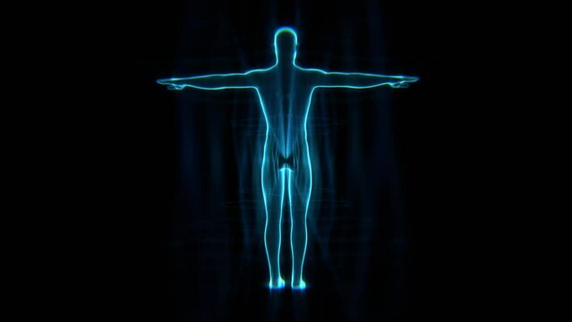 Human body. Human model rotation. Bioengineering and medical technology concept. Loopable video.	