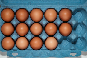 eggs in blue carton crate