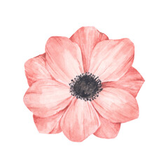 Watercolor flower. It's perfect for greeting cards, wedding invitation, birthday.