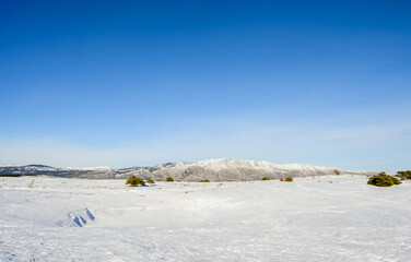 Fototapeta na wymiar landscape with snow and negative space