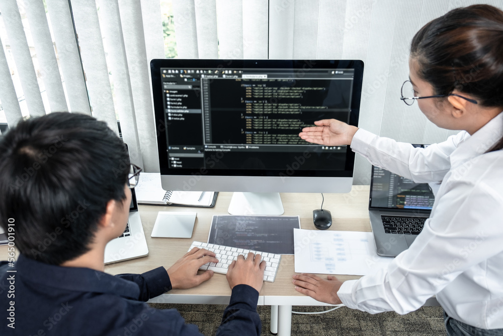 Aufkleber team of two professional programmers working on website projects in software development and making 