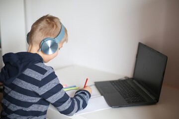Growing hyacinth. Hyacinths bulb. Spring flower on white background