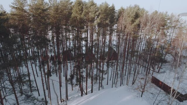 Aerial photography glamping in the winter forest, winter camping in the pine forest