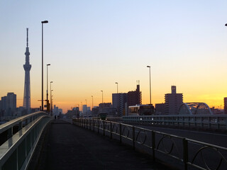Fototapeta na wymiar タワーの見える夕焼けの景色