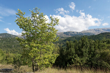 Griechenland - Provinz Epirus - allgemein
