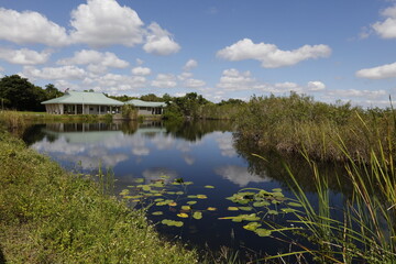 Everglades National Park, Florida, USA