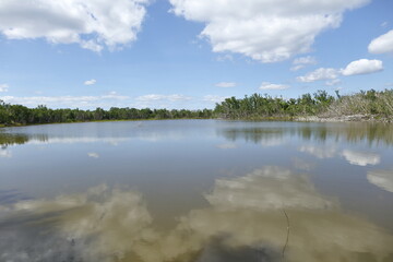 Everglades National Park, Florida, USA