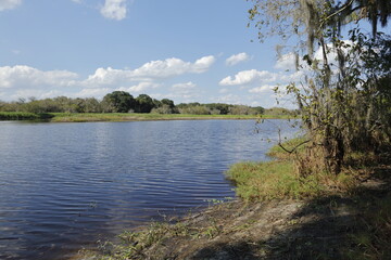 Fototapeta na wymiar Everglades National Park, Florida, USA