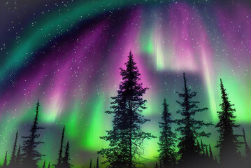 Fototapeta premium The forest of light, the forest of night